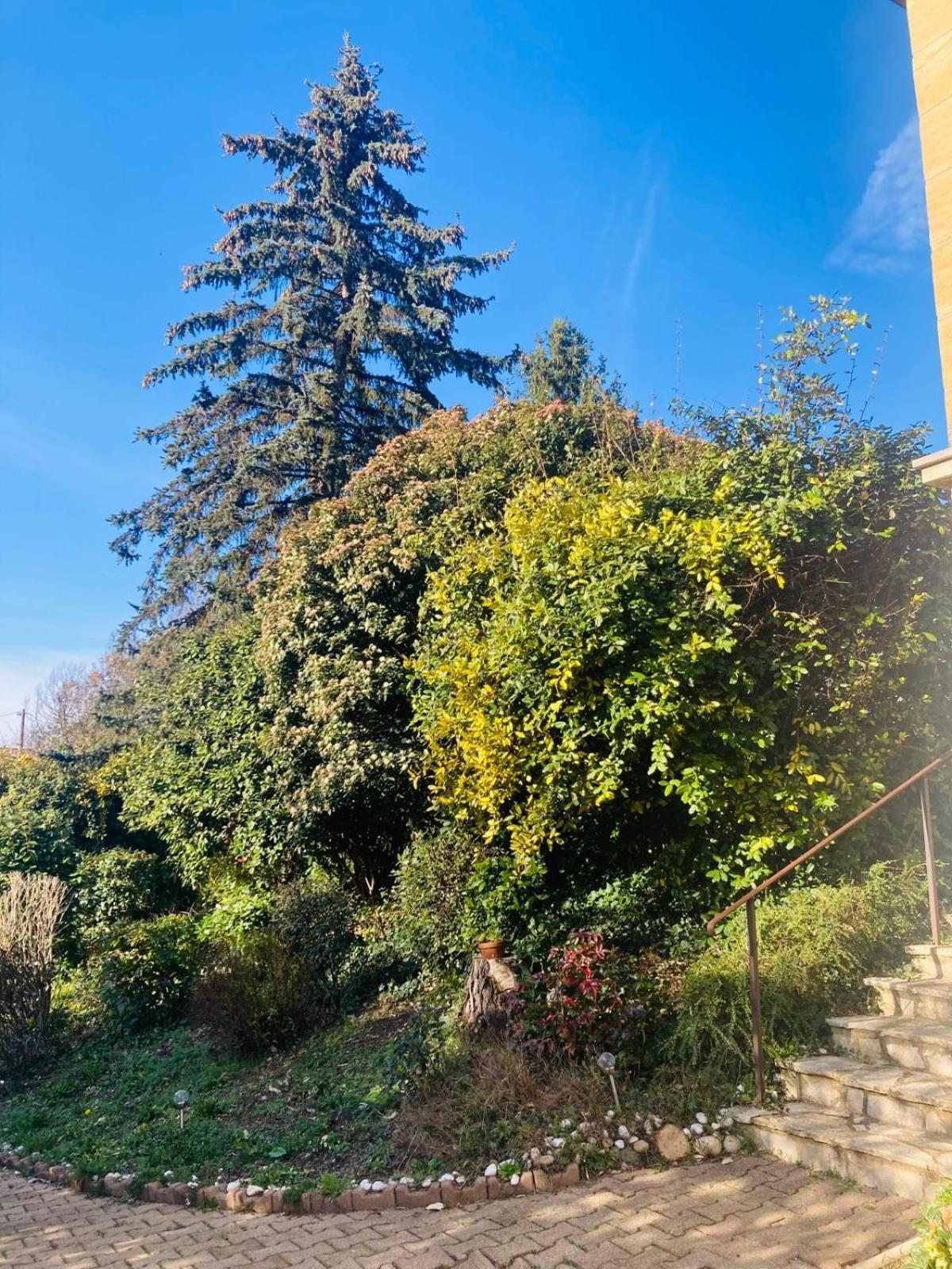 La Petite Noix Apartment Sarlat-la-Canéda Exterior foto